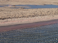 P9090152