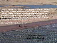 P90901529